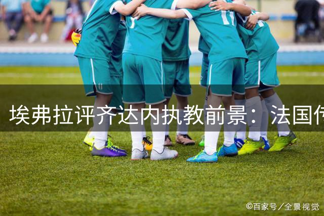 埃弗拉评齐达内执教前景：法国传奇自带光环无需证明