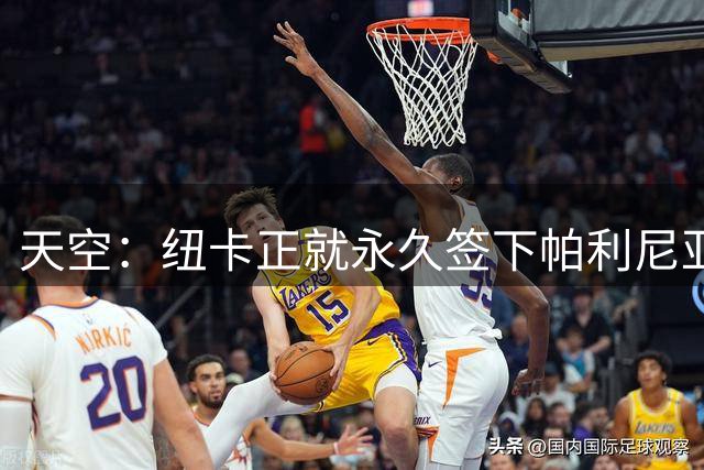 天空：纽卡正就永久签下帕利尼亚与拜仁进行谈判
